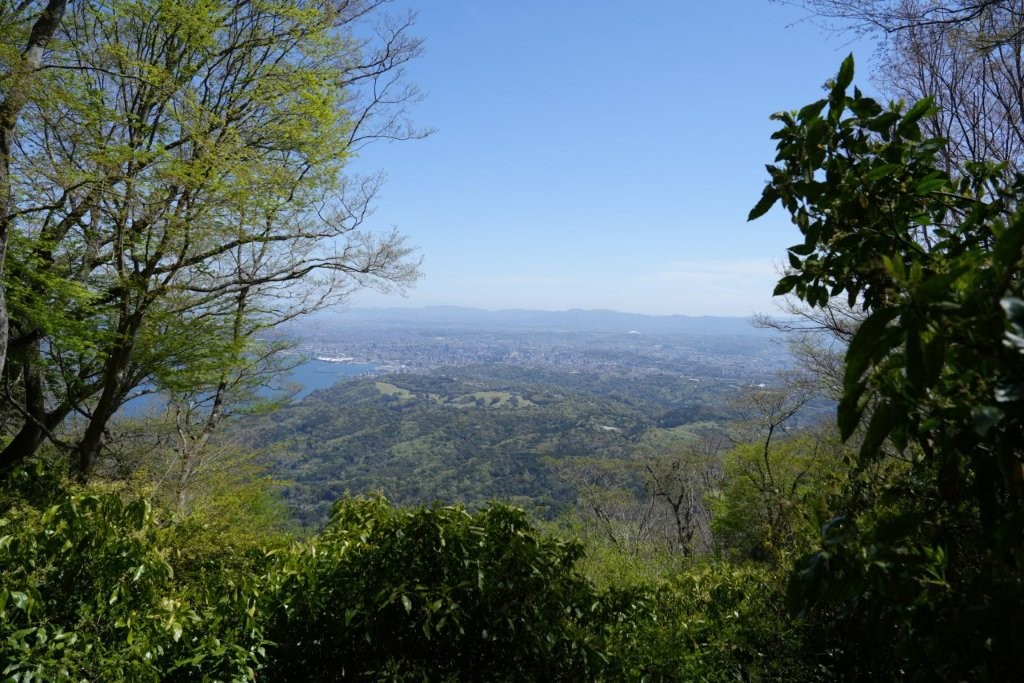 高崎山の登山道から見える大分市街の景色